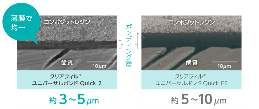 ボンディング層のSEM画像